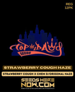 Strawberry Cough Haze (Regular) - Top Dawg Seeds