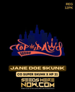 Jane Doe Skunk (Regular) - Top Dawg Seeds