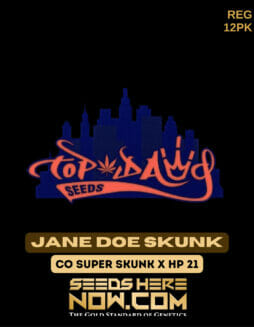Top Dawg Seeds - Jane Doe Skunk {REG} [12pk]Top dawg Jane Doe Skunk
