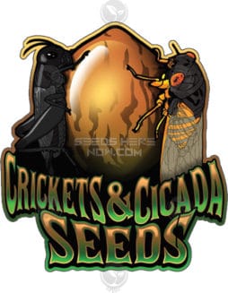 crickets and cicada seeds