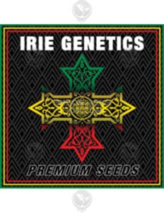 Irie Genetics