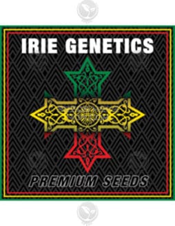 Irie Genetics - Double Dose {REG} [10pk]Irie Genetics