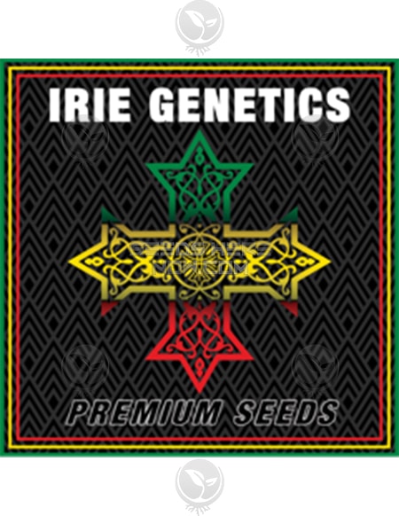 irie-genetics-ph
