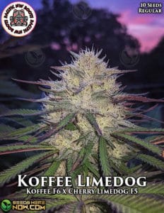 Koffee Limedog (regular) - Pacific Northwest Roots