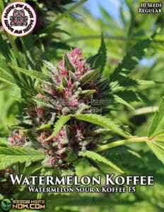 Watermelon Koffee (regular) - Pacific Northwest Roots