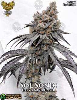 Solfire Gardens - Sol Sonic {FEM} [6pk]Solfire-gardens-sol-sonic-fem-6