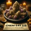 Chem 541 2.0 (regular) - Massive Seeds