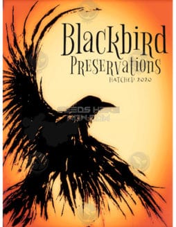 Blackbird Preservations - Francola {REG} [15pk]blackbird-preservations-ph