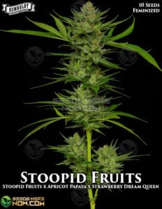 Stoopid Fruits (feminized) - Humboldt Seed Company
