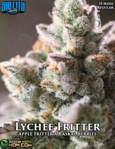 Lychee Fritter (regular) - Sin City Seeds