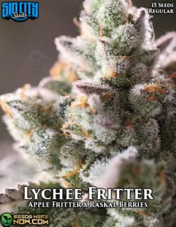 Sin City Seeds - Lychee Fritter {REG} [15pk]sin-city-seeds-lychee-fritter