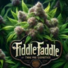 Fiddle Faddle (regular) - Thug Pug Genetics
