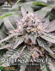 Queen's Candy F3(regular) - Emerald Mountain Legacy