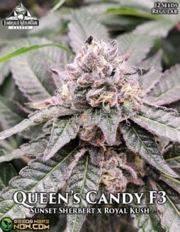 Queen's candy F3