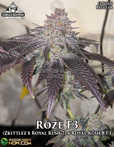 Roze F3