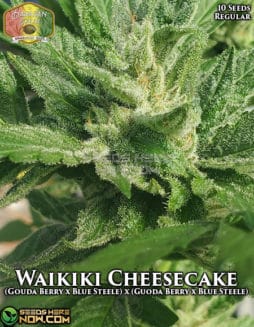 Hawaiian Budline - Waikiki Cheesecake {REG} [10pk]waikiki Cheesecake