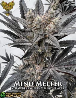 Solfire Gardens - Mind Melter {FEM} [3pk]solfire-gardens-mind-melter-fem-3