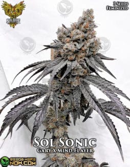 Solfire Gardens - Sol Sonic {FEM} [3pk]solfire-gardens-sol-sonic-fem-3