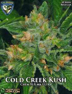 Cold Creek Kush (regular) - T.h. Seeds