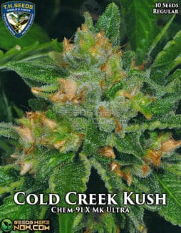 T.H. Seeds - Cold Creek Kush {REG} [10pk]cold creek kush