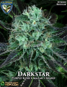 Darkstar (regular) - T.h. Seeds