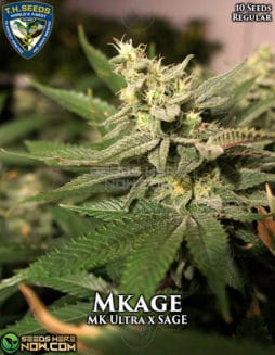 T.H. Seeds - Mkage {REG} [10pk]MKAGE MK ULTRA SAGE