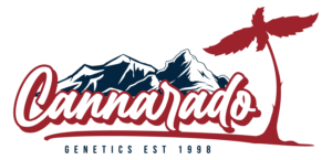 Cannarado Genetics