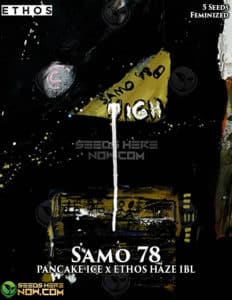 Samo 78 (feminized) - Ethos Genetics