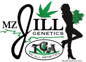 Mz Jill Genetics