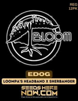Bloom Seed Co. - EDOG {REG} [12pk]Bloom EDOG Bloom Seeds