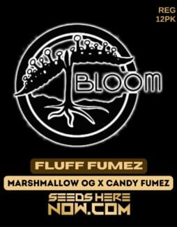Bloom Seed Co. - Fluff Fumez {REG} [12pk]Bloom Fluff Fumez