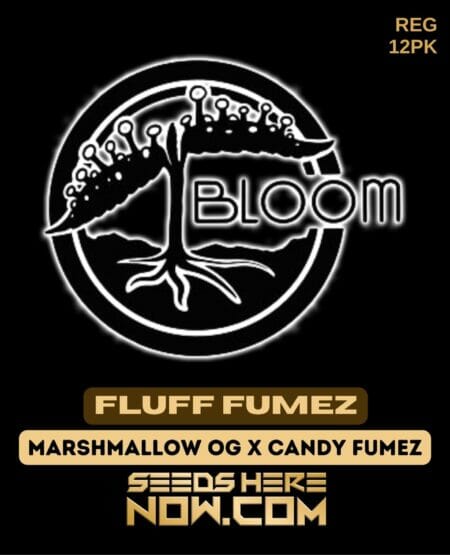 Bloom Fluff Fumez