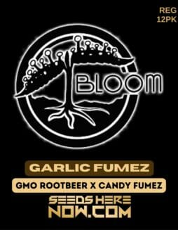 Bloom Seed Co. - Garlic Fumez {REG} [12pk]Bloom Garlic Fumez