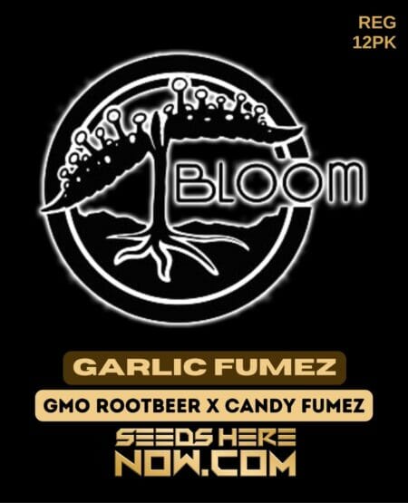 Bloom Garlic Fumez