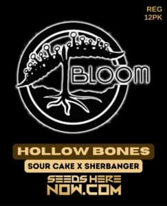 Hollow Bones (Regular) (space) Bloom Seed Co.