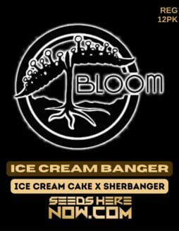 Bloom Seed Co. - Ice Cream Banger {REG} [12pk]Bloom Ice Cream Banger