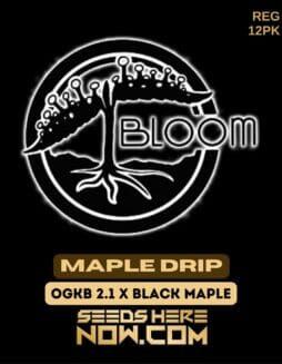 Bloom Seed Co. - Maple Drip {REG} [12pk]Bloom Maple Drip