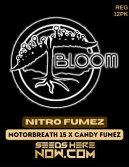 Bloom Seed Co. - Nitro Fumez {REG} [12pk]Bloom Nitro Fumez