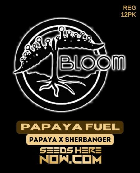 Bloom Papaya Fuel