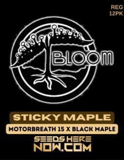 Bloom Seed Co. - Sticky Maple {REG} [12pk]Bloom Sticky Maple