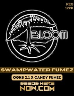 Bloom Seed Co. - Swampwater Fumez {REG} [12pk]Bloom Swampwater Fumez