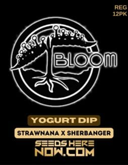 Bloom Seed Co. - Yogurt Dip {REG} [12pk]Bloom Yogurt Dip