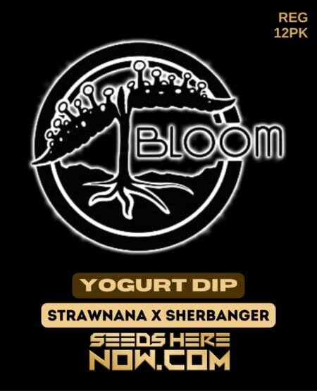 Bloom Yogurt Dip