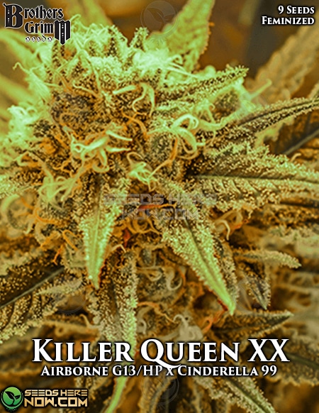 Killer Queen Xx