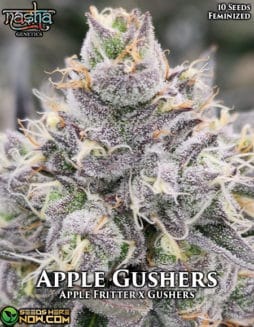 Nasha Genetics - Apple Gushers {FEM} [10pk]
