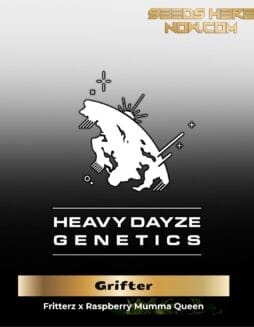 Grifter (Feminized) (space) Heavy Dayze Genetics