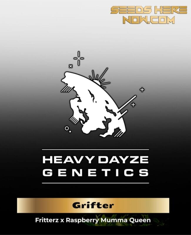 Grifter (Feminized) - Heavy Dayze Genetics