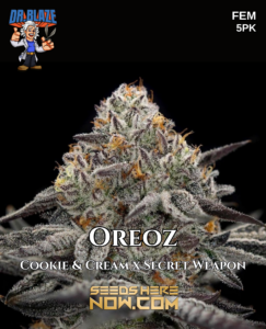 Oreoz S1 (feminized) - Dr. Blaze