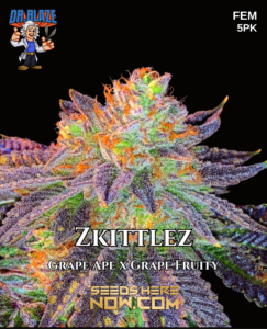 Zkittlez S1 (feminized) - Dr. Blaze
