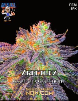 Dr. Blaze - Zkittlez {FEM} [5pk]Plant photo info card